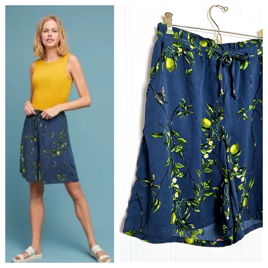 Anthropologie Bermuda Shorts Womens Blue Yellow Lemon Red Bird Wide Leg Size Xs